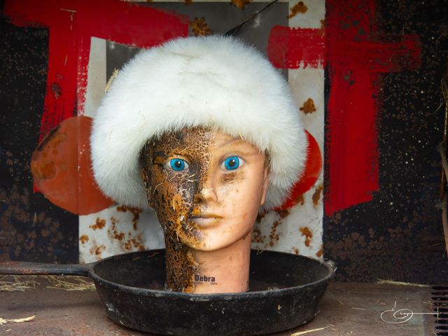A rusted mannequin head with bright blue eyes wearing a white fur hat, sitting in a metal bowl