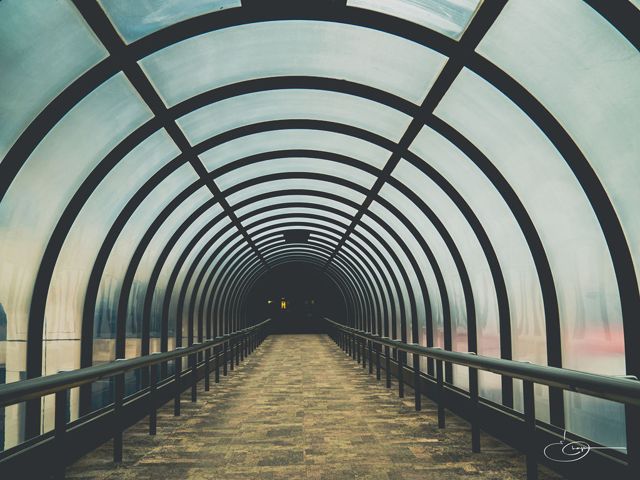 A long arched glass walkway seen from inside, its ribs repeating toward a vanishing point