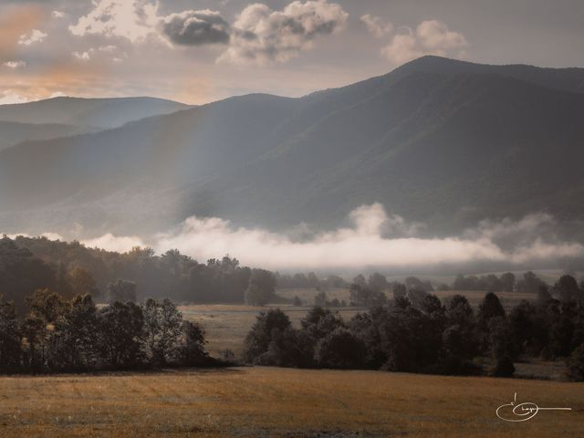 Low mist settling over a valley and tree line at the foot of hazy mountains