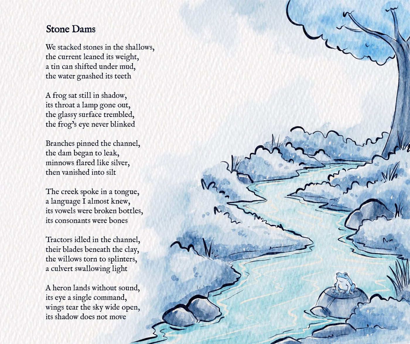 Watercolor illustration of a winding blue creek between stony, grassy banks, with a small frog sitting on a rock in the foreground and a tree leaning overhead.